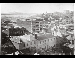 plate 1