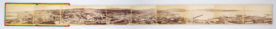 Dunedin panorama