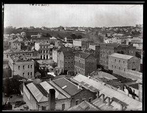 plate 3