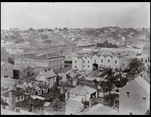 plate 4