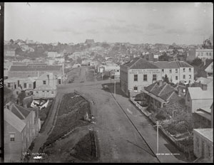 plate 5