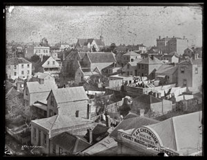 plate 6